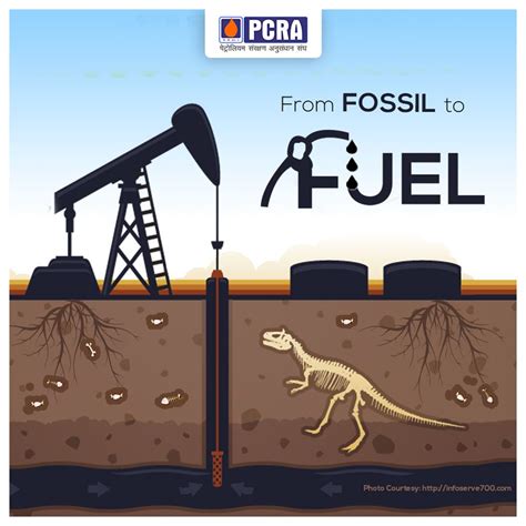 Fact check: Ample evidence fossil fuels and dinosaurs are real.